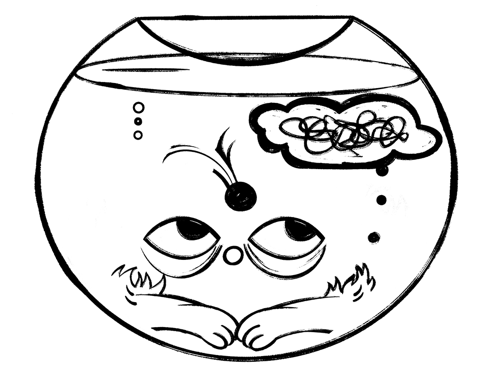 Уровень тревоги — 3 балла