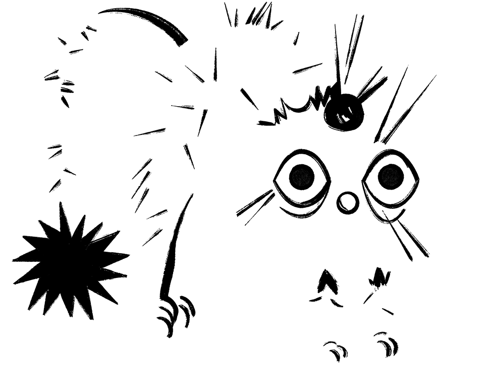 Уровень тревоги — 7 баллов